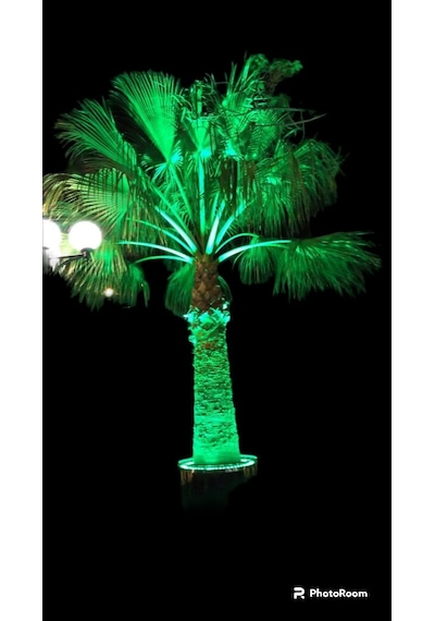 Palmiye Çember Aydınlatma Ip67 80cm