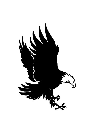 Avcı Kartal Sticker Oto Motor Laptop Duvar Folyo Sticker 25x37 Cm