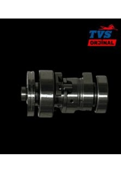 Tvs - Raider - Tvs Raider 125 Eksantrik Mili
