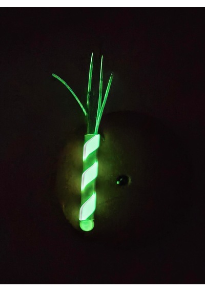 Çapari Alemi Glowlu Katil Pipet Palamut,orkinos,lambuka,ceylan,lüfer,kofana Pipeti