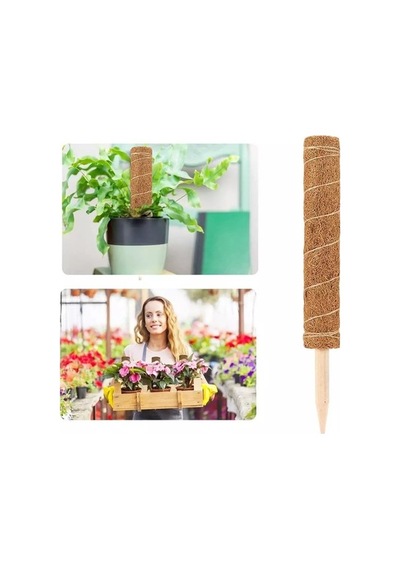 Abaka Sarmaşık Destek Çubuğu 80 Cm