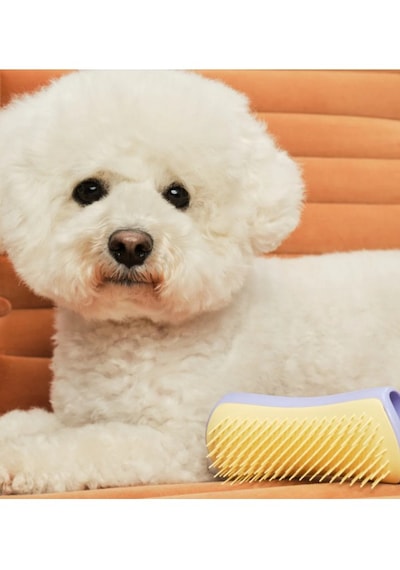 Tangle Teezer Pet Teezer Detangling Dolaşık Açıcı Küçük Irk Köpek Bakım Fırçası 11,7x5 Cm Lila-sarı