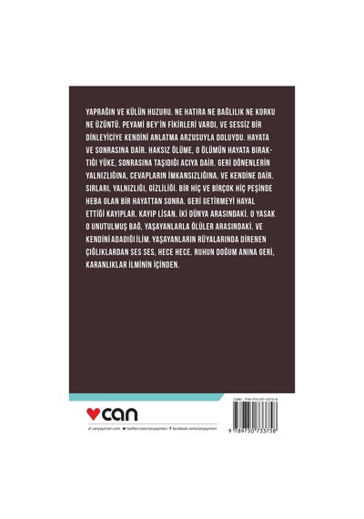 Yalnız Kaldınız, Peyami Bey! - Hamdi Koç - Can Yayınları