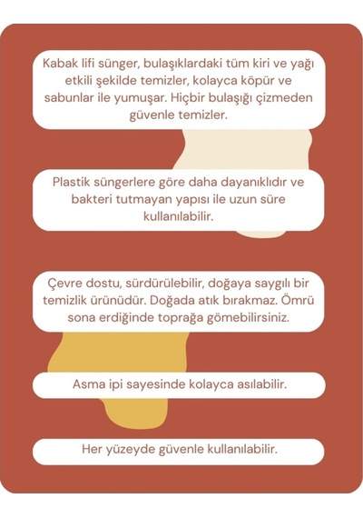 Pureal Kabak Lifi Sünger