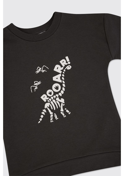 Panço Erkek Çocuk Dinozor Baskı Antrasit Sweatshirt Gri