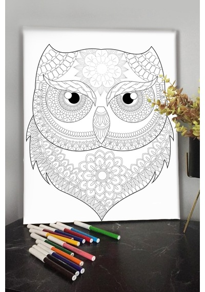 Baykuş 4 40x30cm Çocuklar Için Özel Boyanabilir Tablo Tuval Mandala Kalem Hediyesi Yoktur.