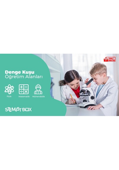 Eğitici Zeka Geliştirici Ahşap Oyuncak Robotik Kodlama Denge Kuşu