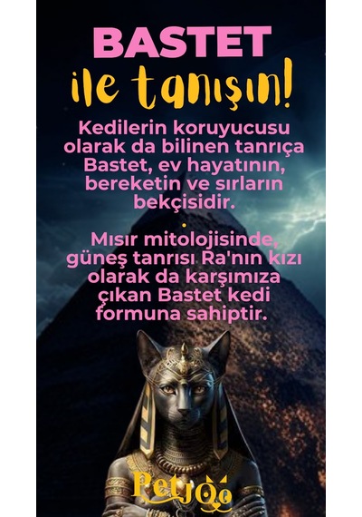 Petjoo 1.Bastet Sarı-Pembe Qr'lı Kedi Künyesi