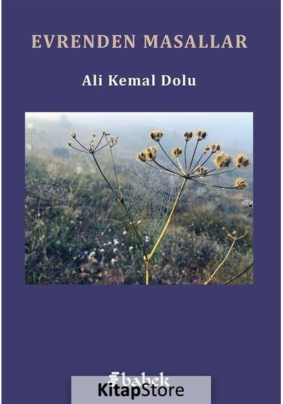 Evrenden Masallar - Ali Kemal Dolu - Babek Yayınları