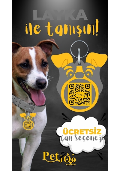 Petjoo 22.Layka Sarı-Gri Qr'lı Köpek Künyesi