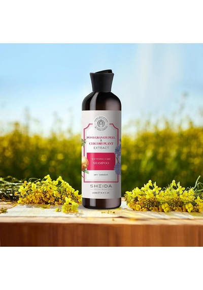 Lexroo Active Shine Yumuşatıcı Bakım Şampuanı Nar Kabuğu Ve Hindiba Bitki Özlü 500ml