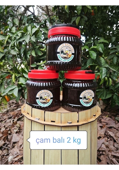 Çam Balı 1900 Gr