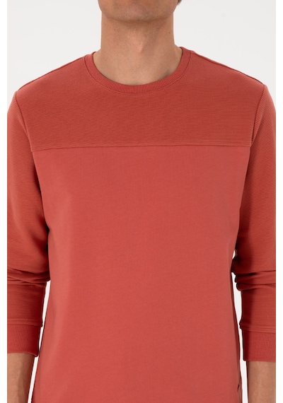 U.S. Polo Assn. Erkek Regular Fit Bisiklet Yaka Gül Kurusu İnce Sweatshirt 50315455-VR026