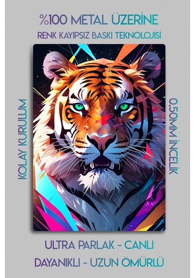Metal Parlak Baskı - Tiger, Kaplan Dekoratif Tablo