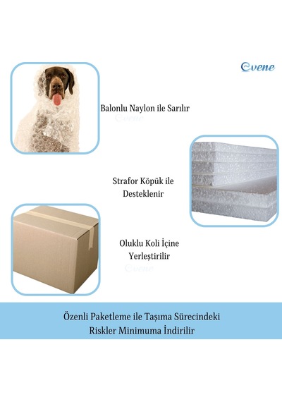 Dekoratif Aslan Biblo Heykel El Yapımı Hediyelik Süs Eşyası Poly Model Tasarım Ürünü - Altın