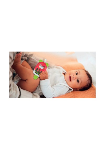 17503 Baby Clementoni - Dondurma Çıngırak Çok Renkli