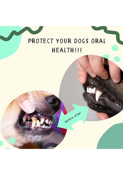 Pugalo Kedi Suya Damlatılan Koku Önleyici Ağız Ve Diş Bakım Damlası