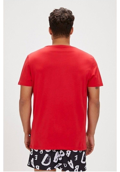 24.01.07.040 Bad Bear Rıcardo Erkek T-shirt Crımson Red 24yyz6000012 Yz6031