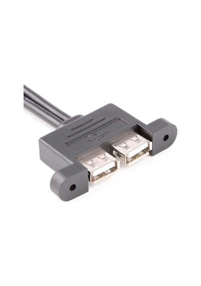 9 pin to 2x USB A Dişi Dikey Panel Tipi Kablo - 30cm