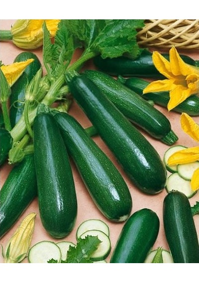 Yerli Siyah Dolma Kabak Tohumu Kolsuz 10 GR Ort 75 Ad N111570