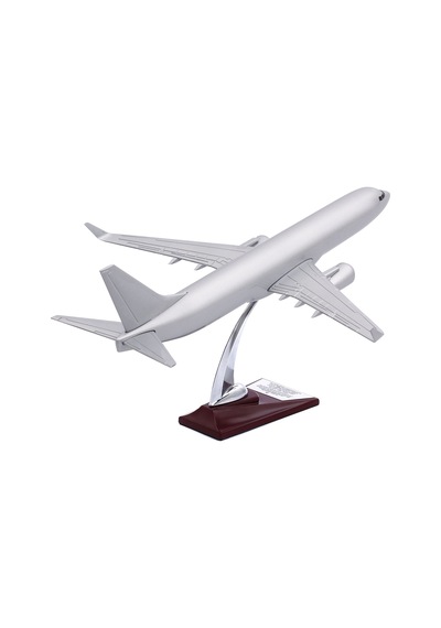 Zekupp - Maket Uçak - Boeing 737-800 1/100 - GÜMÜŞ RENK ÖZEL TASARIM Model Uçak
