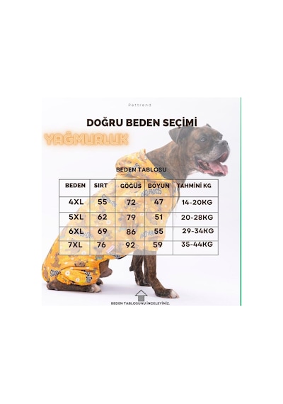 Pettrend Spider Köpek Mont Köpek Kıyafeti Köpek Yağmurluğu