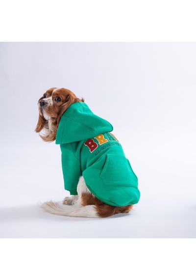 Yeşil Bronx Brave Köpek Hoodie Köpek Sweat Köpek Kıyafeti Kedi Kıyafeti