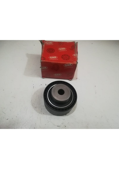 P206 EKSANTRİK GERGİ RULMANI GNR60070
