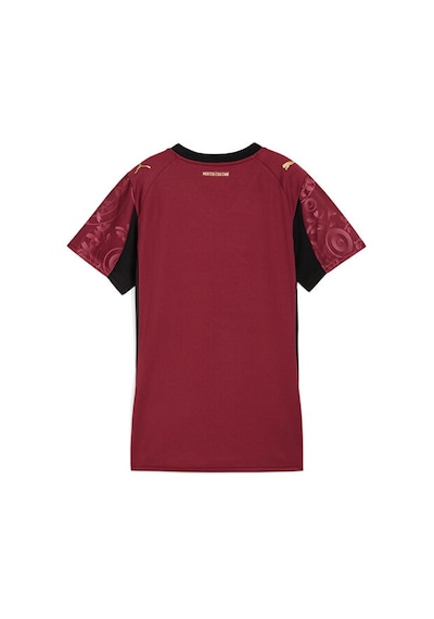 Puma Gsk Third Jersey Replica W W/o Kadın Galatasaray 25/26 Alternatif Forması 77981703 Kırmızı Kırmızı