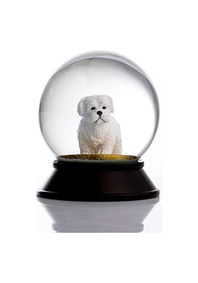 Cam Ve Reçine Altın Patiler Köpek Maltese Terrier Kar Küresi Hediye