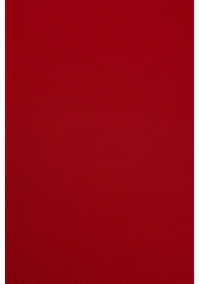 U.S. Polo Assn. U.s. Polo Assn. Erkek Bordo Tişört Basic 50322304-vr014