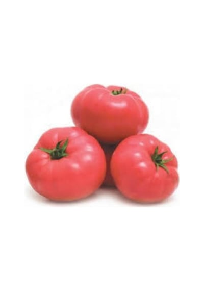 İri Pembe Domatesi 20 Adet Tohum