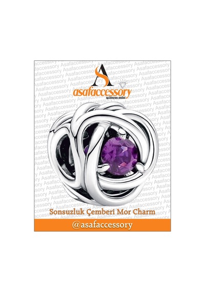 Sonsuzluk Çemberi Charm /asafaccessory Mor