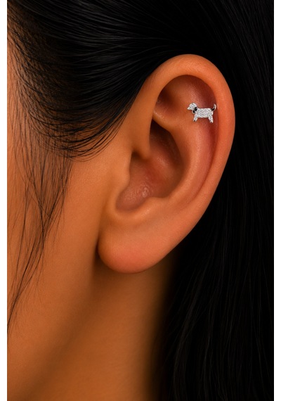 Sertifikalı 316l Çelik Taşlı Köpek Figürlü Siyah Tasma Detaylı Premium Gümüş Renk Tragus Ve Helix Pi