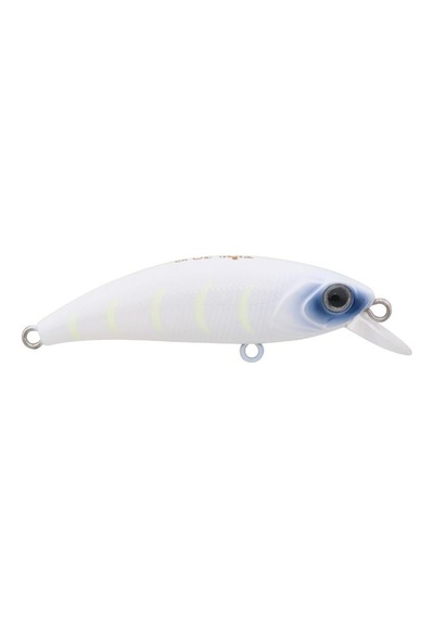 Hanfish Zıpır Kg Purple Head Glow