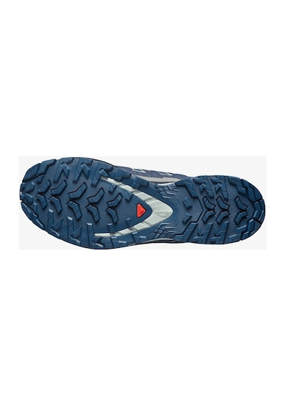 Salomon Xa Pro 3d V9 Gore-tex Erkek Outdoor Ayakkabı Spellbound L49199200-24750 Renkli