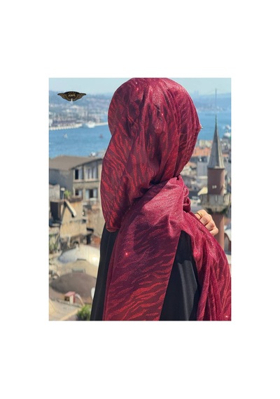 Aldaıyr Simli Şifon Şal Çok Rrenkli16