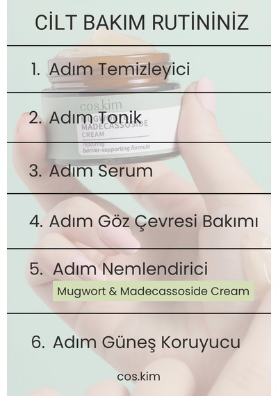Mugwort Ve Madecassoside Içeren Yatıştırıcı Ve Onarıcı Nemlendirici Bakım Kremi 50 Ml