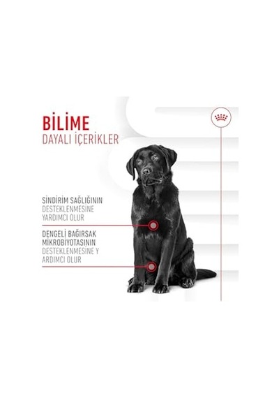 Ayrex Digestion Chews Yetişkin Köpekler İçin Sindirim Sistemini Destekleyen Tamamlayıcı Ödül Maması 160g