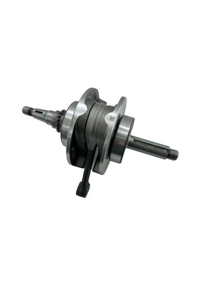 Tvs Raider 125 Krank