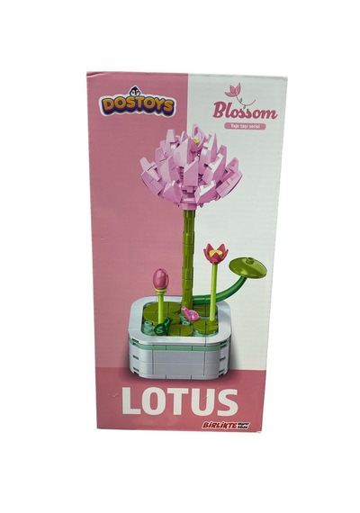 Saksılı Çiçek Lotus 6337