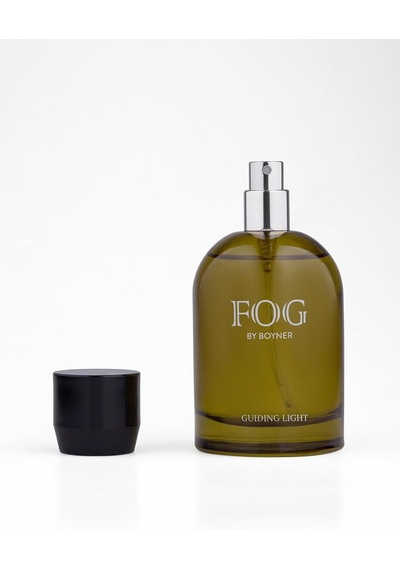 Guiding Light Edp 100 Ml Erkek Parfüm, 5003286587 Amber