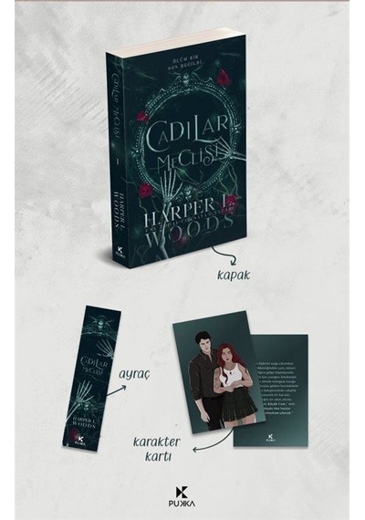 Cadılar Meclisi / Harper L. Woods