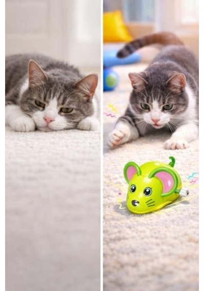 Busstier Kurmalı Fare Oyuncak Kedi Köpekler İçin Çok Renkli Hareketli Zeka Geliştirici Pilsiz İnteraktif Evcil Hayvan Oyuncağı