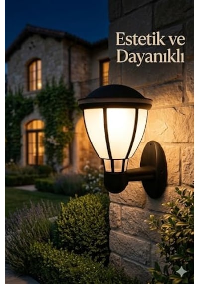 Kupa Serisi Bahçe Duvar Apliği 37 Cm - Siyah E27 Duylu Zita Dış Mekan Lambası - Ip54 Su Geçirmez, Uv Korumalı Mod Çok Renkli