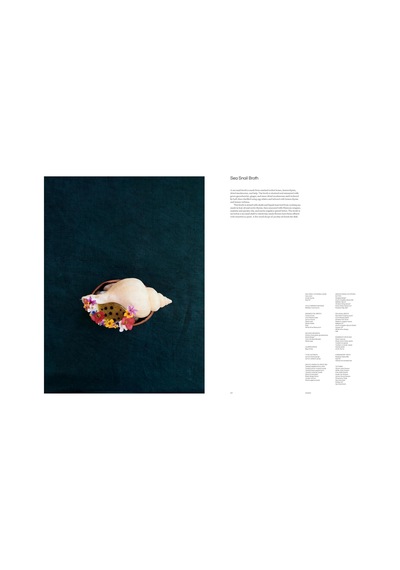 Noma 2.0: Vegetable, Forest, Ocean