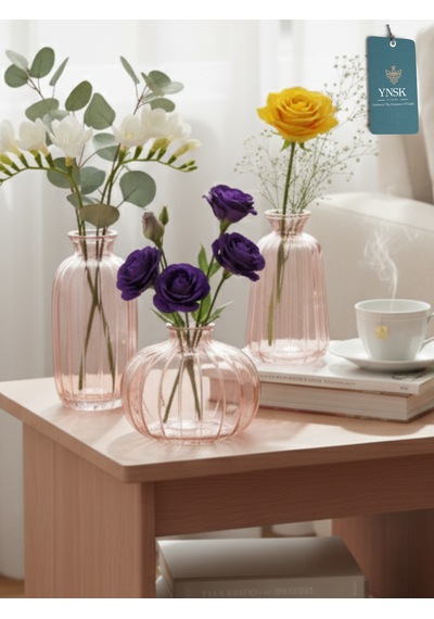 Chacha Home Modern 3'lü Minimalist Cam Çiçek Vazosu Dekoratif Masa Üstü Vazo Seti Açık Pembe