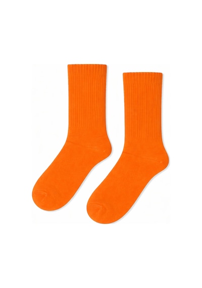 Carnaval Socks Düz Turuncu Desensiz Renkli Spor Çorap Çok Renkli