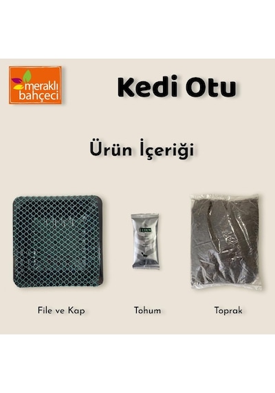 Meraklı Bahçeci Kedi Çimi - Kedi Sindirim Sistemini Rahatlatıcı Zindeliklı Kedi Otu