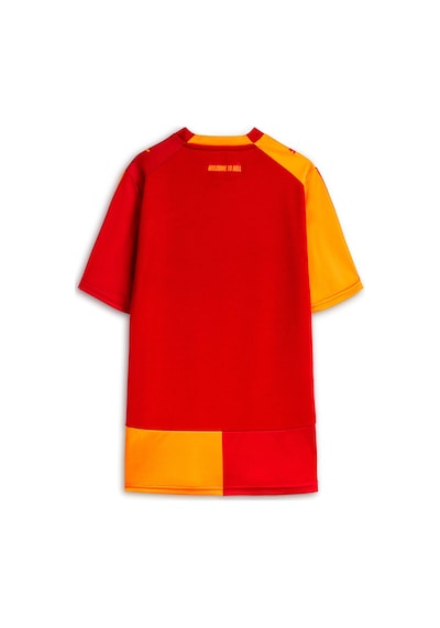 Puma Galatasaray 26/27 Genç İç Saha Forması 784994 01 Kırmızı